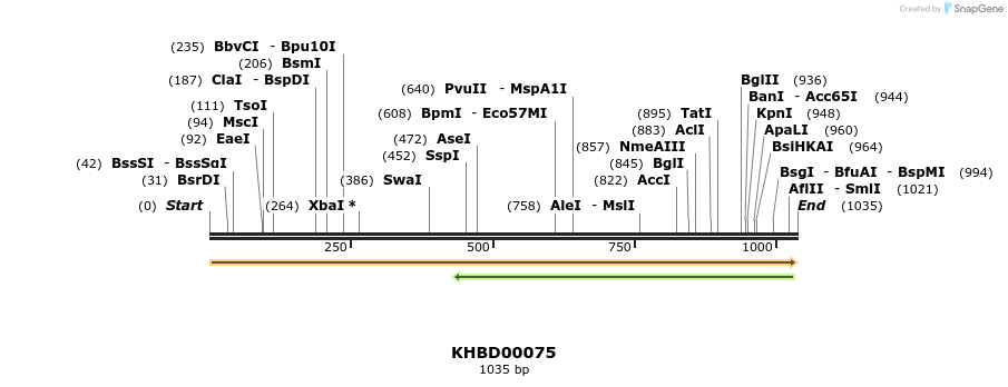 40800_map