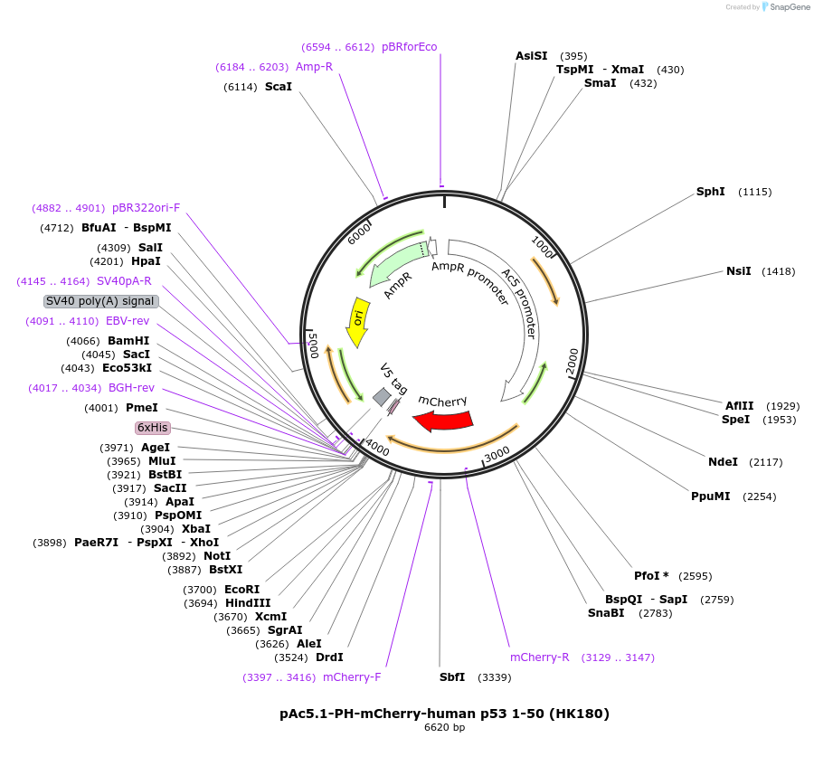 408002_map