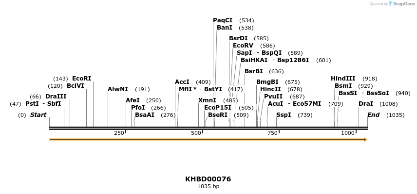 40801_map