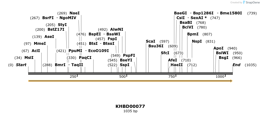 40802_map