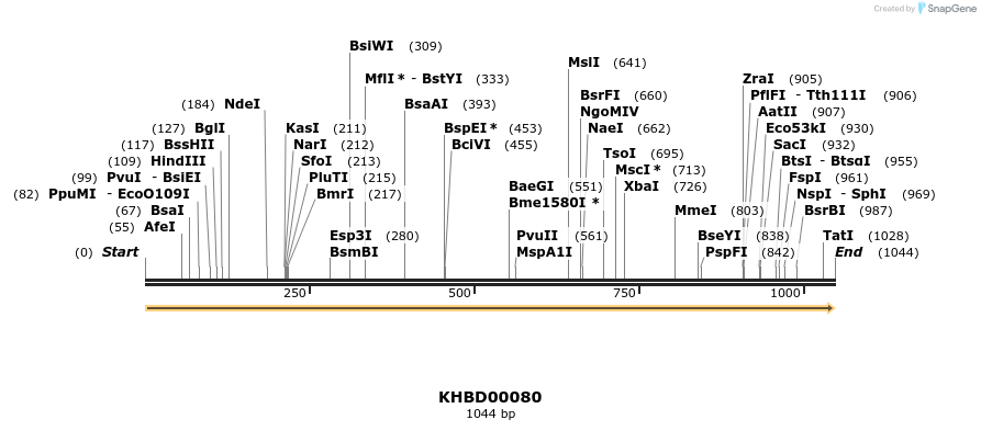 40804_map