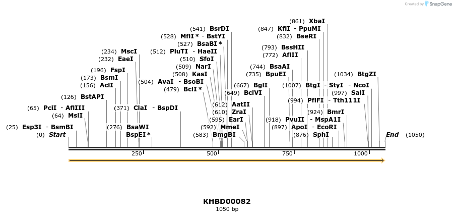 40806_map