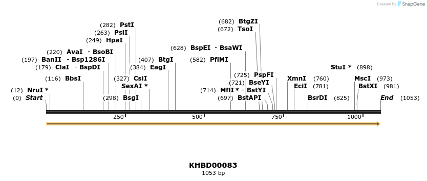 40807_map