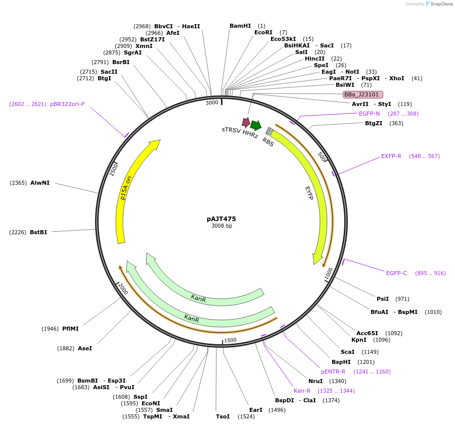 408079_map