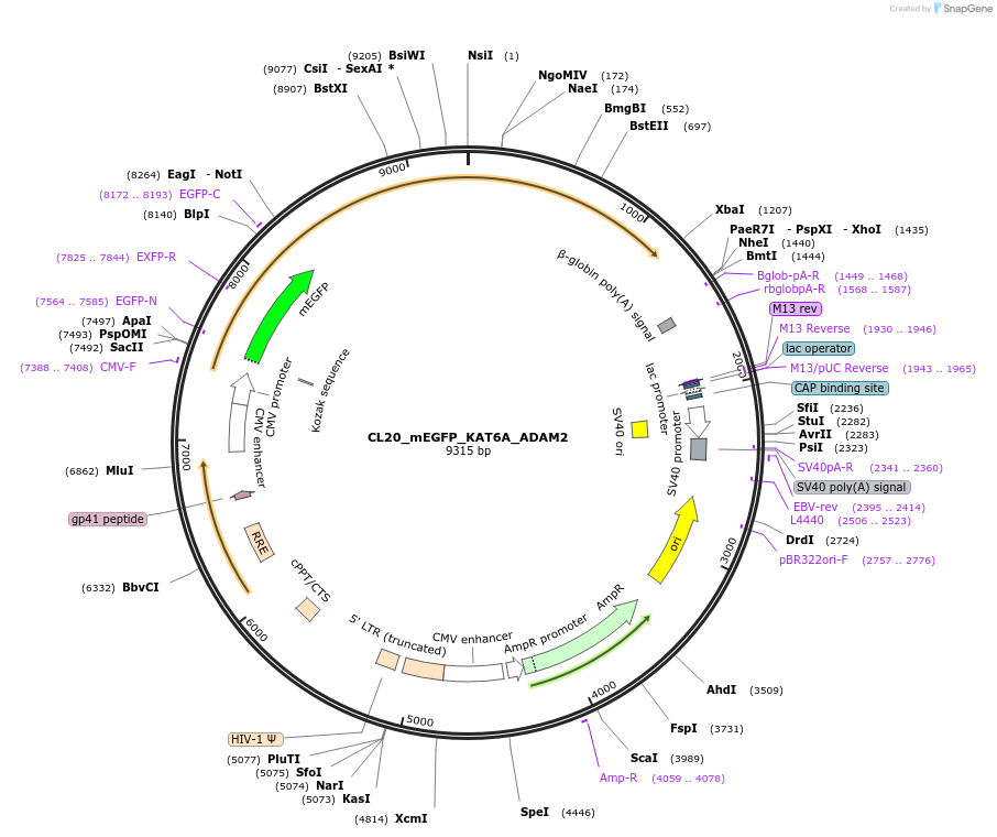 408086_map