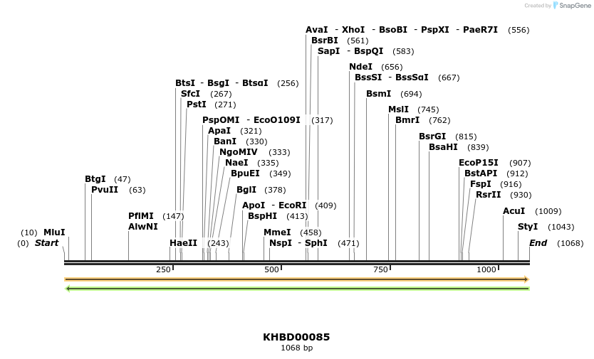 40809_map