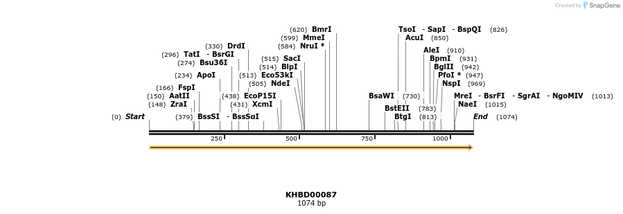 40811_map