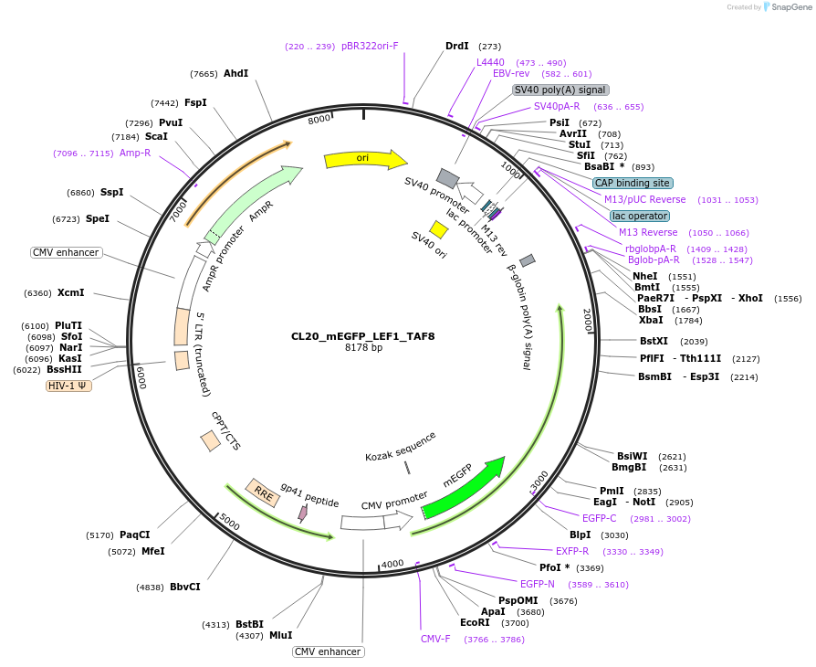 408113_map