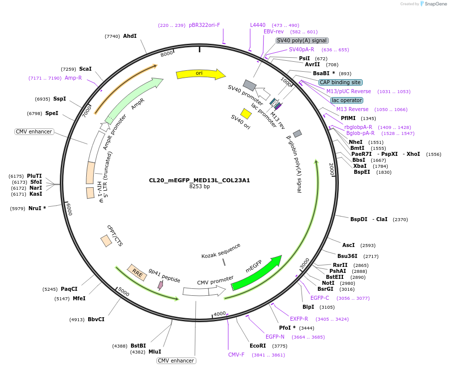 408119_map