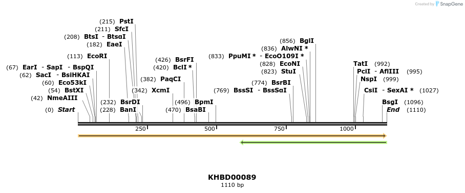 40812_map