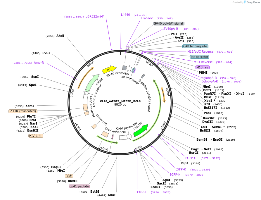 408121_map