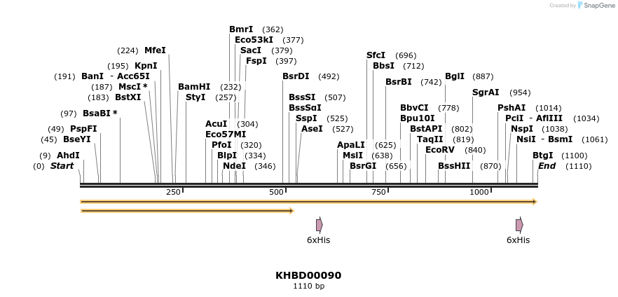 40813_map