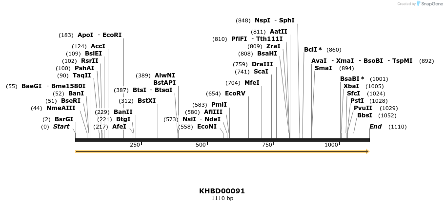 40814_map