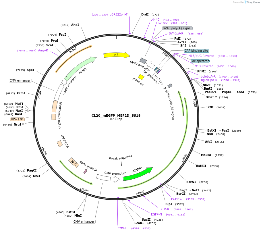 408142_map