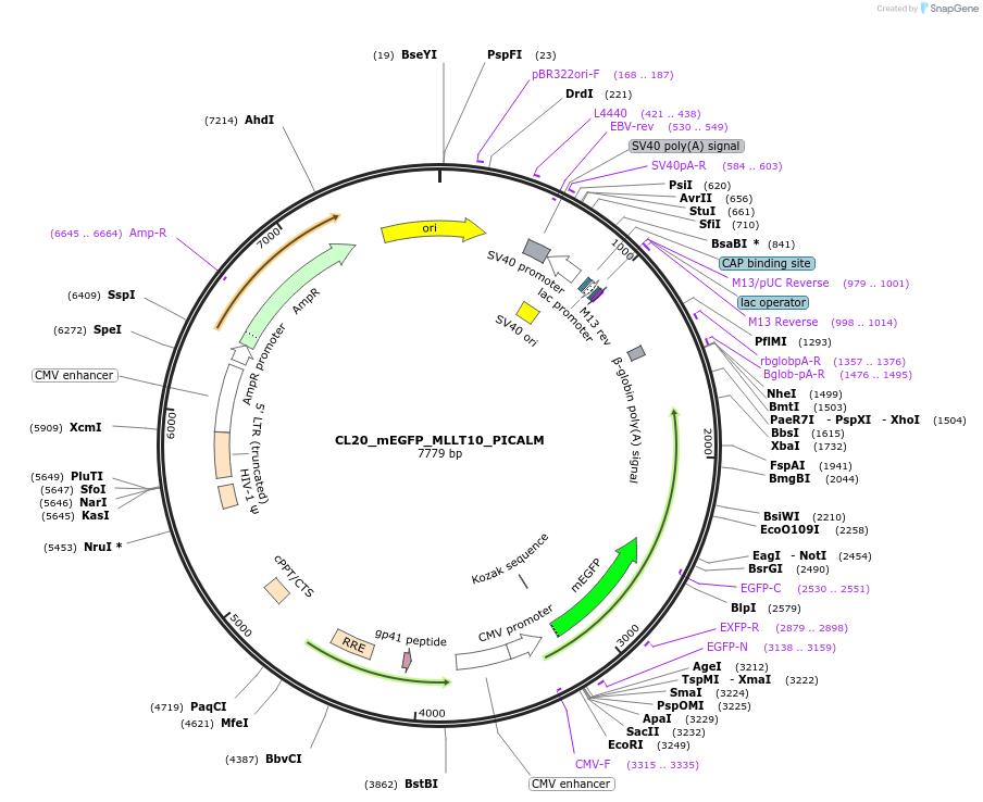 408144_map