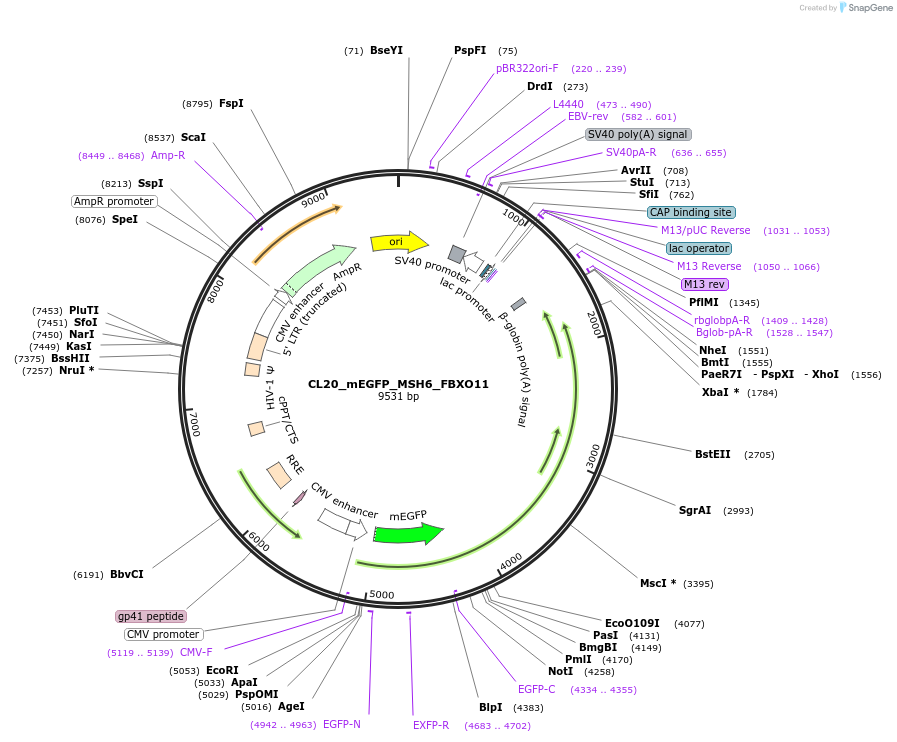 408145_map