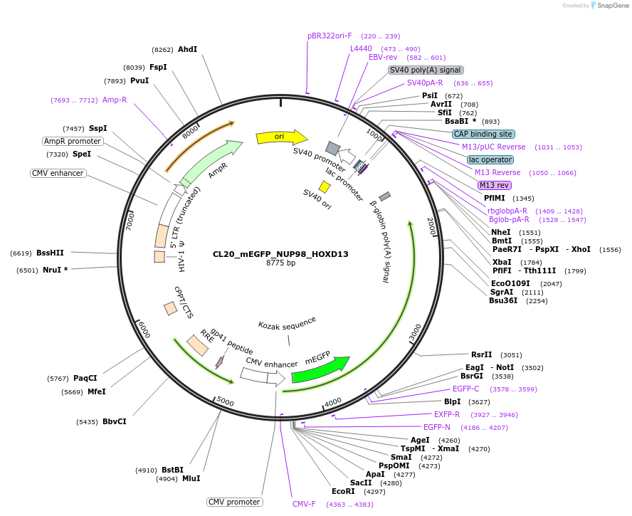 408148_map