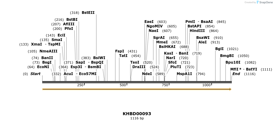 40815_map