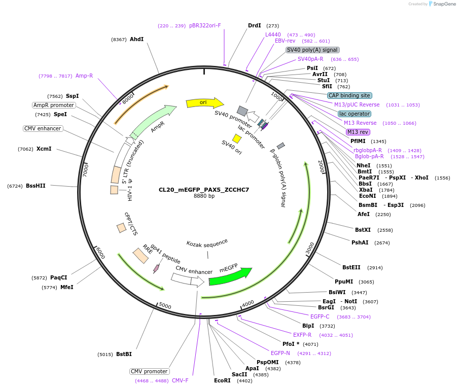 408151_map