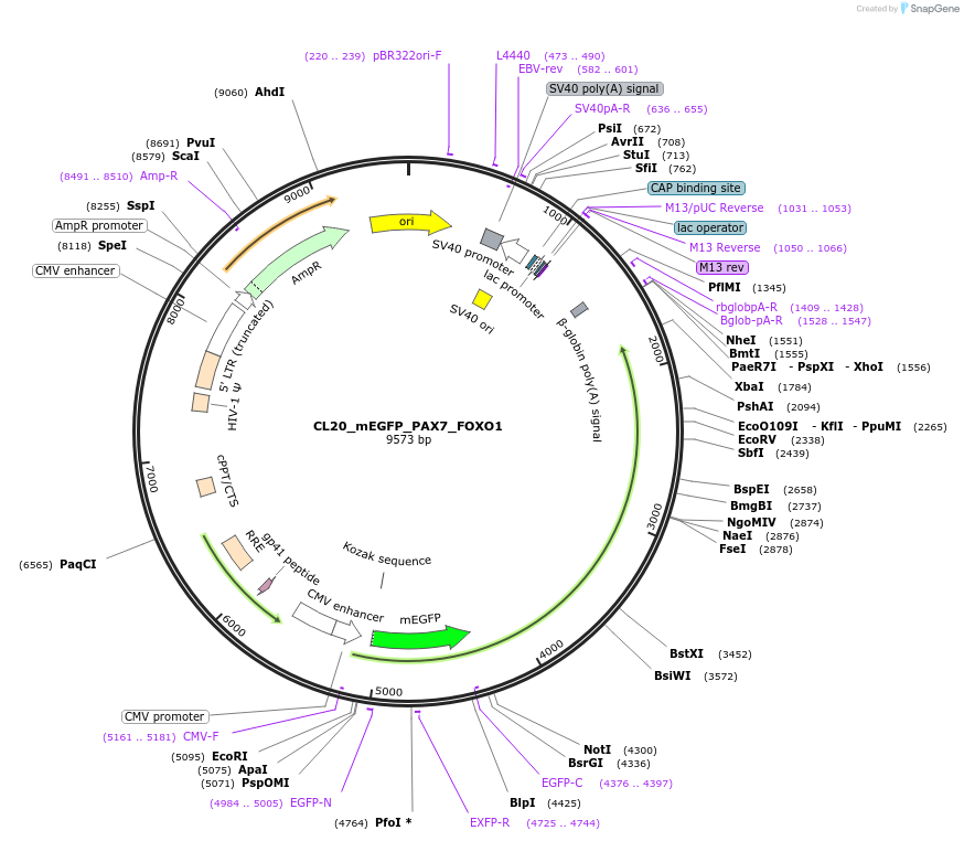 408152_map