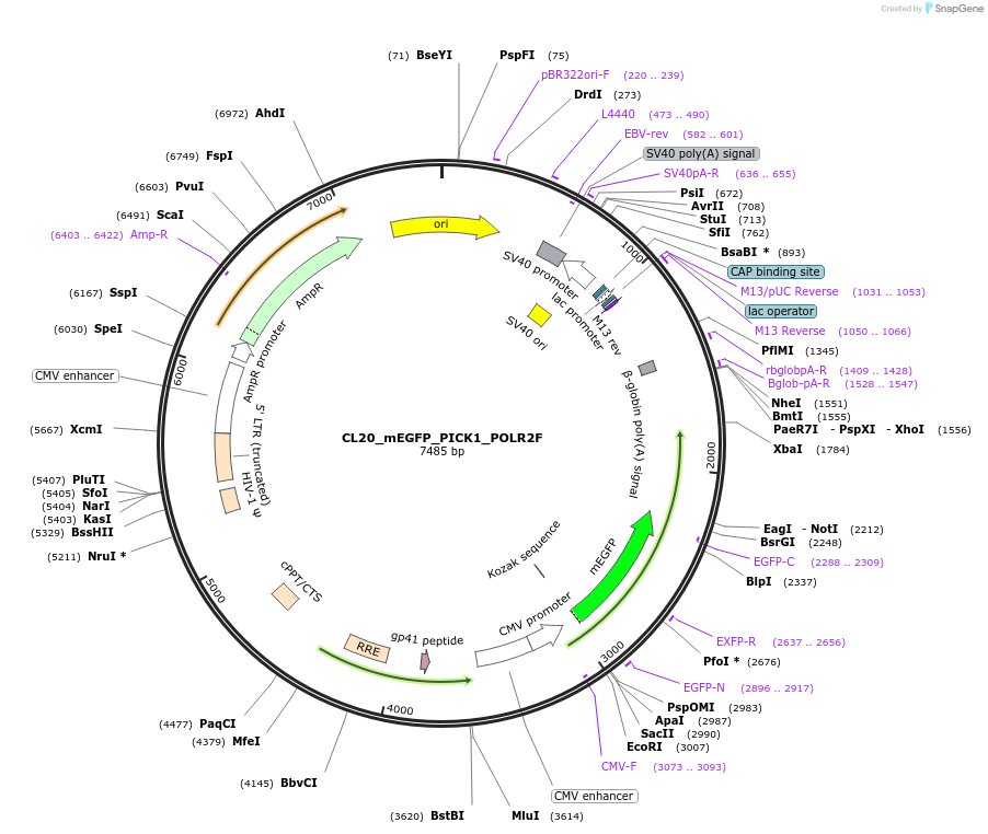 408153_map