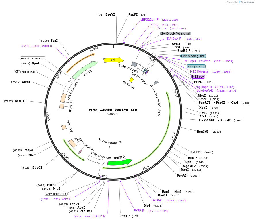 408157_map