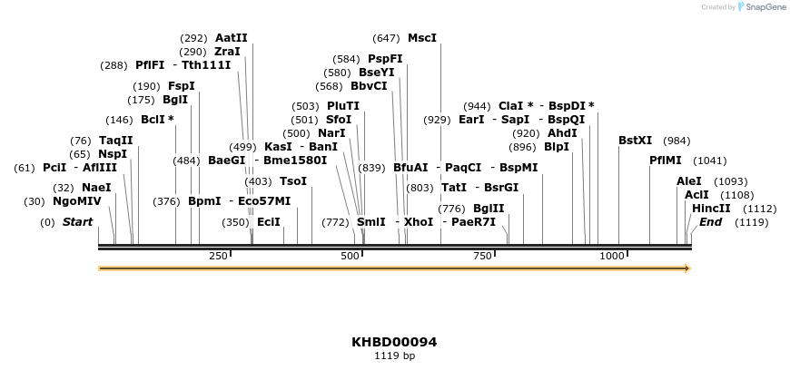 40816_map