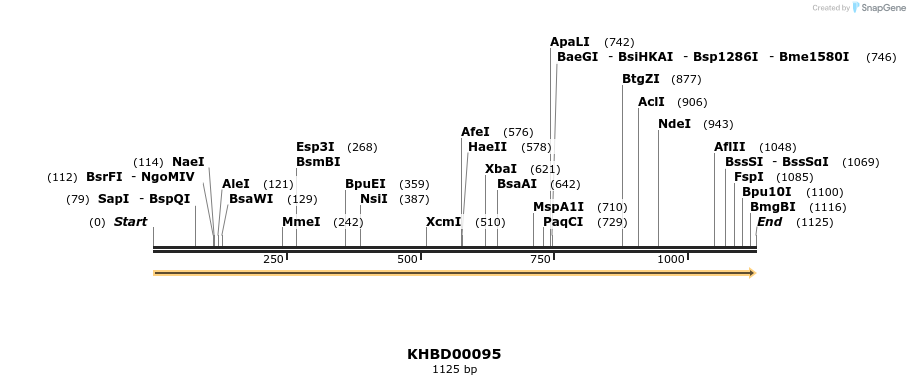 40817_map