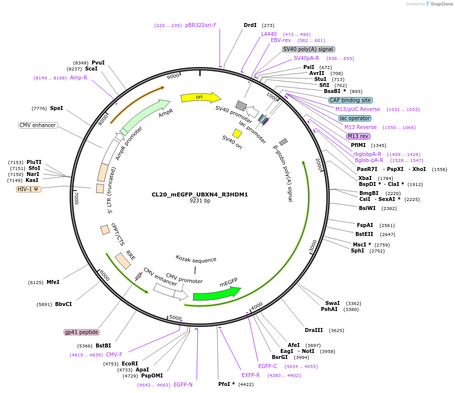 408175_map