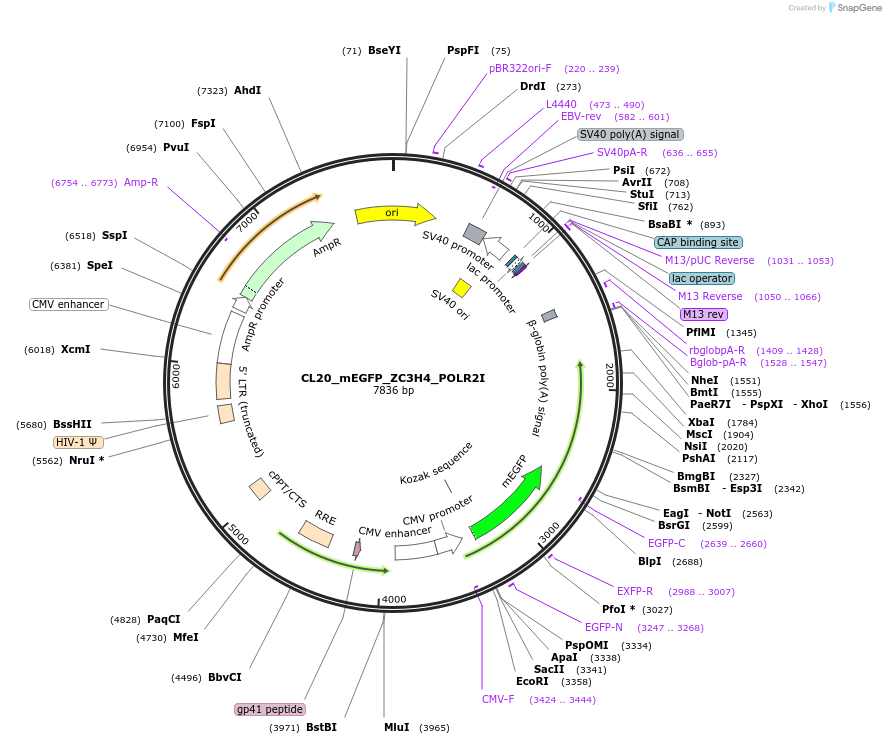 408178_map