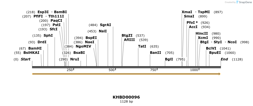 40818_map