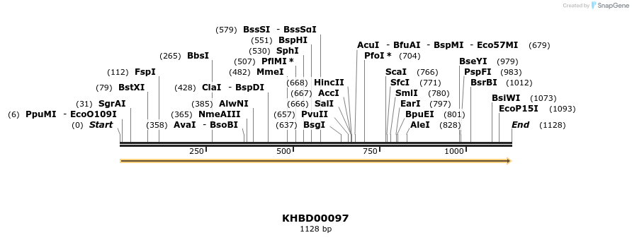 40819_map