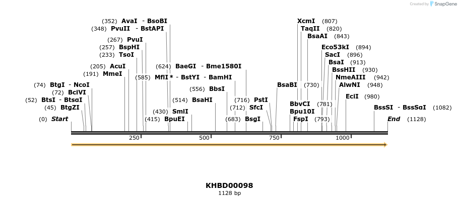 40820_map