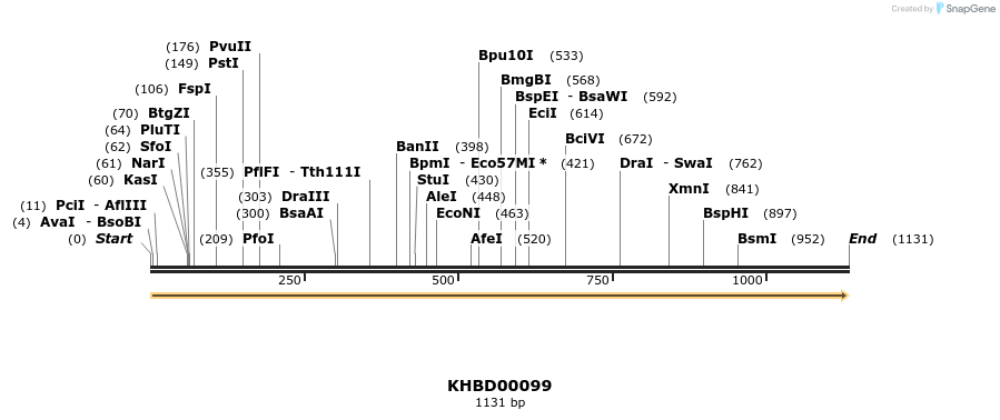 40821_map