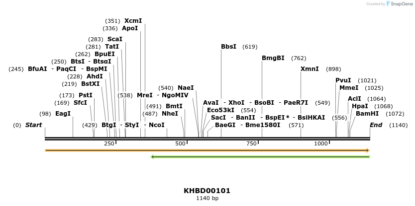 40823_map