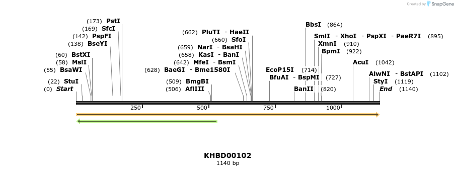 40824_map