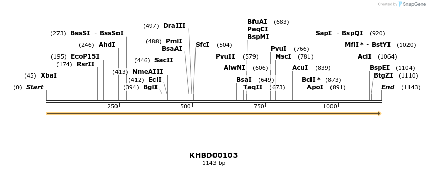40825_map