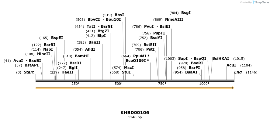40828_map