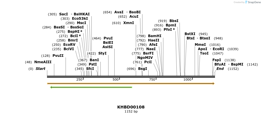 40830_map