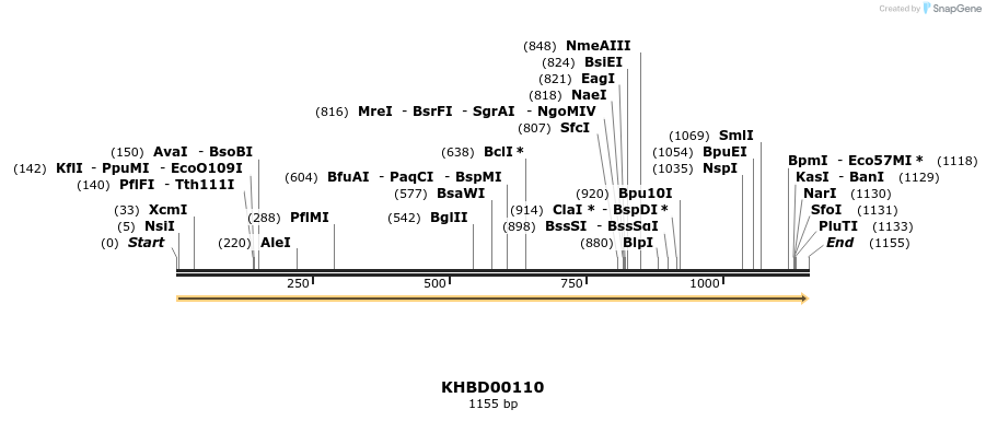 40832_map