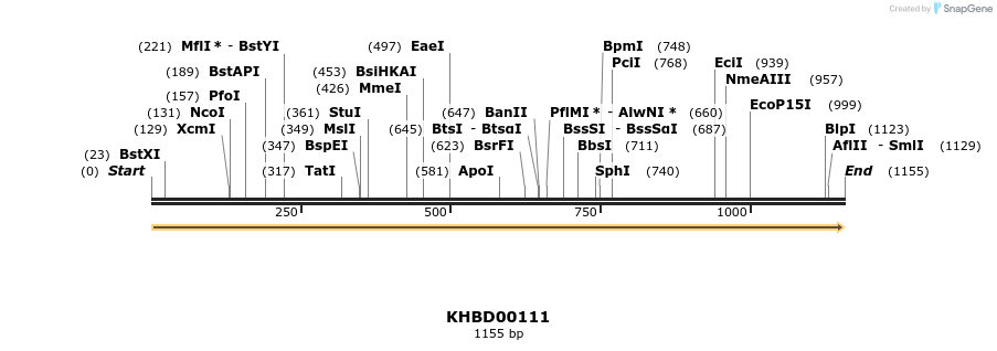 40833_map