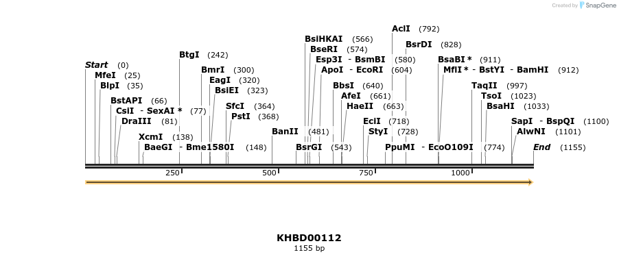 40834_map