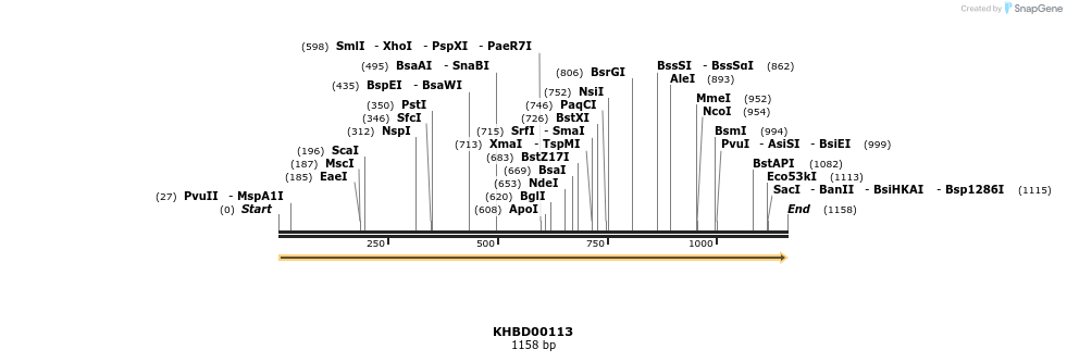 40835_map