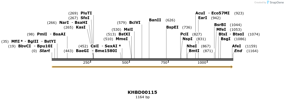 40836_map