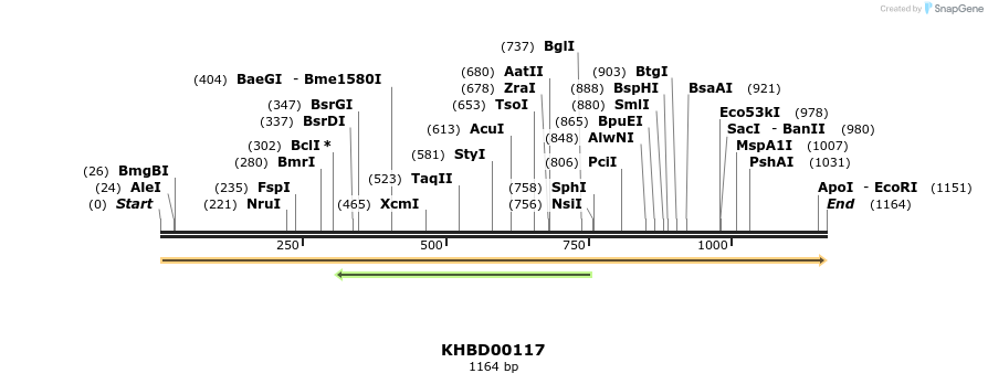40838_map
