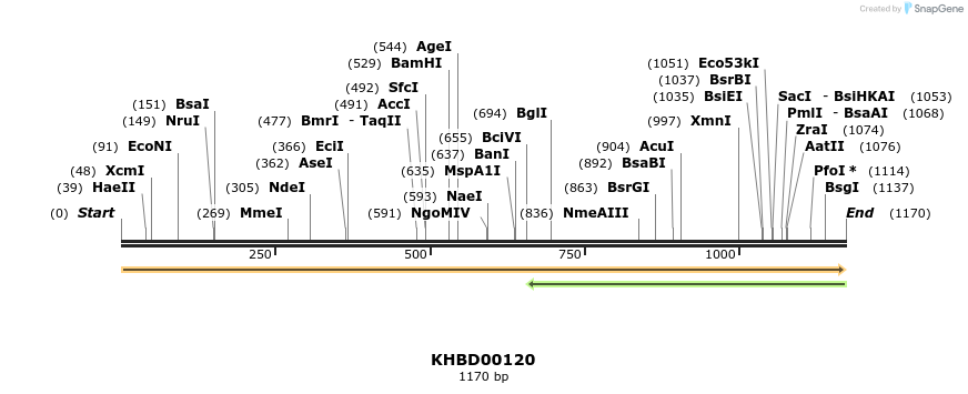 40841_map