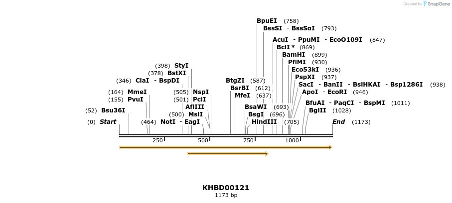 40842_map