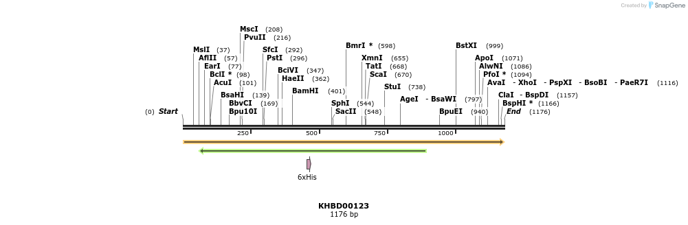 40844_map