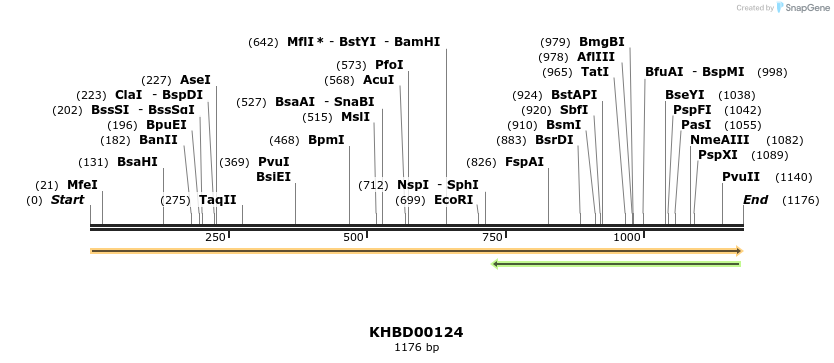 40845_map