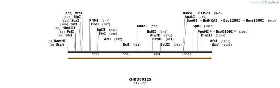 40846_map